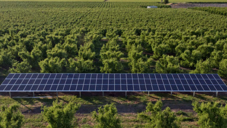 Paineis-Solares-para-Exploracoes-Agricolas-770x434 - 18